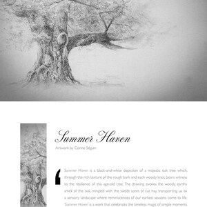 Carte artistique noir et blanc – Chêne majestueux | Illustration fine art à encadrer | Carte toute occasion
