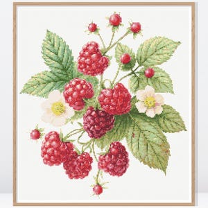 May include: A framed cross-stitch of a raspberry plant. The image features clusters of ripe red raspberries, green leaves, and small white flowers. The artwork is set against a white background and framed in a light brown wooden frame.