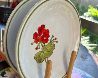 2  METLOX Salad/Dessert Plates- Poppy Trail Geranium Pattern - 8” Salad Dessert Plates