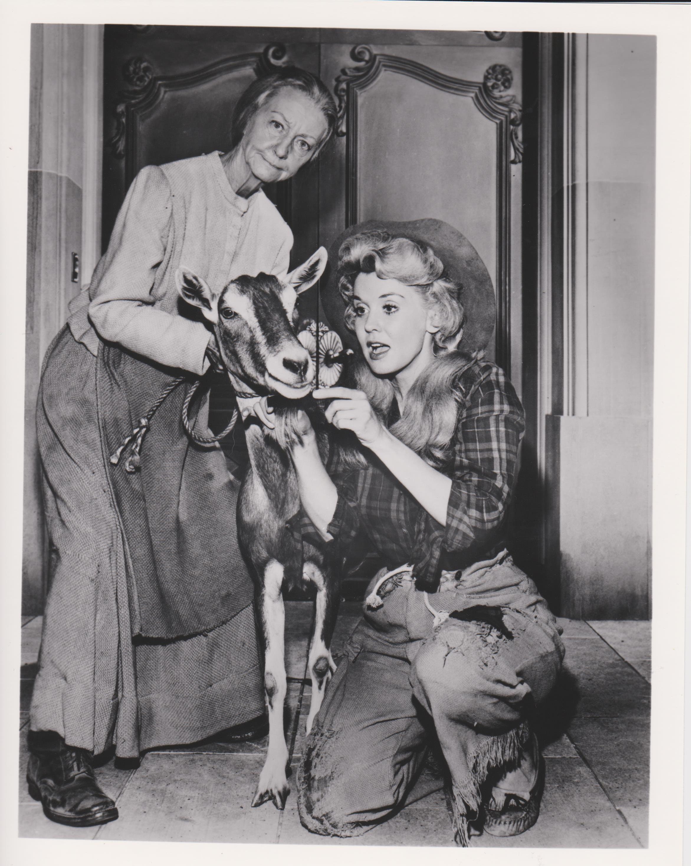 Barbara Billingsley Barbara Billingsley new images Barbara Billingsley Barbara Billingsley new pictures