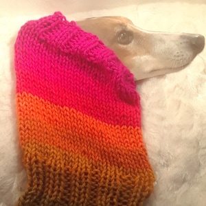 Handknit Bright Color Stripes Hound Dog Iggy Snood Neckwear Accessory