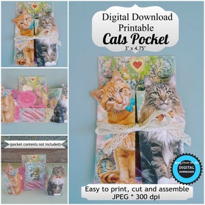 Digital Download Printable Cats Foldie Pocket for Junk Journal Scrapbook Gift Cards Ephemera