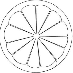 Può includere: Un disegno in bianco e nero di un agrume tagliato a fette, come un limone o un lime, con 12 segmenti.