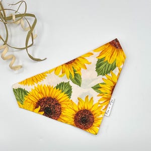 Pañuelo de girasol para perro, pañuelo para perro sobre el collar, pañuelo para perro de otoño, pañuelo para perro sin cordones, pañuelo para gato, regalo para perro, bufanda para perro, pañuelo para perro