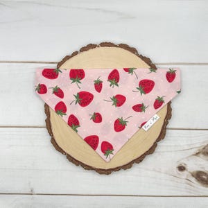 Strawberry Over the Collar dog bandana, Fruit Dog bandana, Slip on dog bandana, Cat over the collar bandana, pet accessories