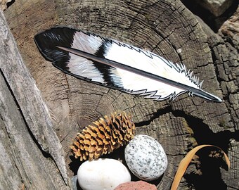 Custom order, Golden Eagle Feather magnet