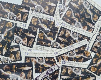 20 francobolli con scheletri di dinosauri, Germania, con timbro postale, per scrapbooking e journaling.