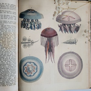 RARE 1843 Le Livre du Monde, coloré à la main, livre ancien