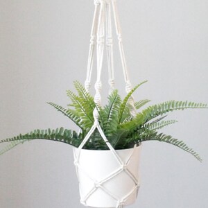 May include: A white macramé plant hanger holding a white ceramic pot with green fern plants. The macramé design has a diamond pattern around the pot and a tassel. The hanger is suspended from a metal hook, creating a stylish display.