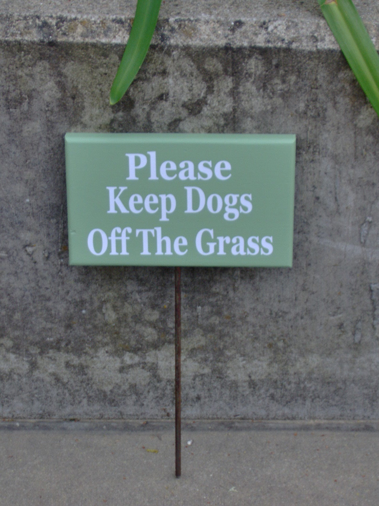 Yard Sign Please Keep Dogs off the Grass Green Wood Vinyl Etsy
