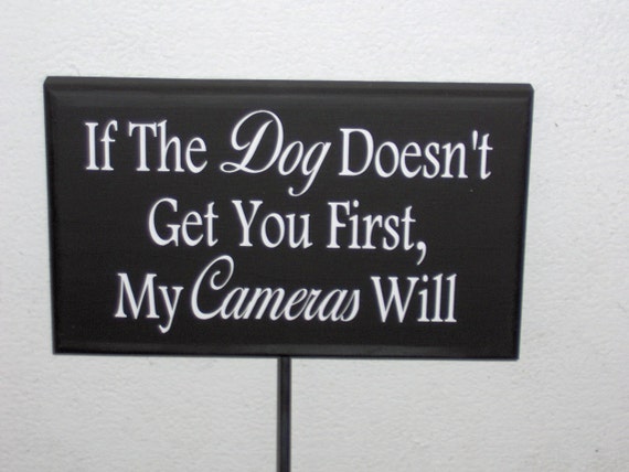 Dog Doesn't Get You First Cameras Will Wood Vinyl Stake Sign Outdoor Sign Garden Yard Sign Warning Signs Security Sign Private Property Sign