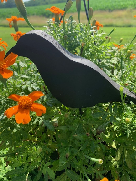 Primitive Black Crow Decorative Planter Pick or Fall Centerpiece Decor