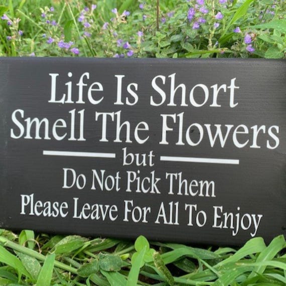 Flower Garden Sign for Flowerbed Do Not Pick Flowers Decorative Signage for Home or Business Landscape Gift for Gardener Plaque House Decor