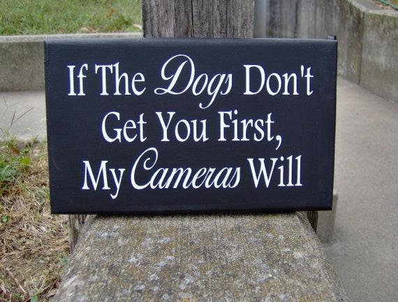 Dogs Don't Get You First Cameras Will Wood Vinyl Sign Security Surveillance Camera Sign Warning Sign Outdoor Yard Sign Front Door Decor Gift