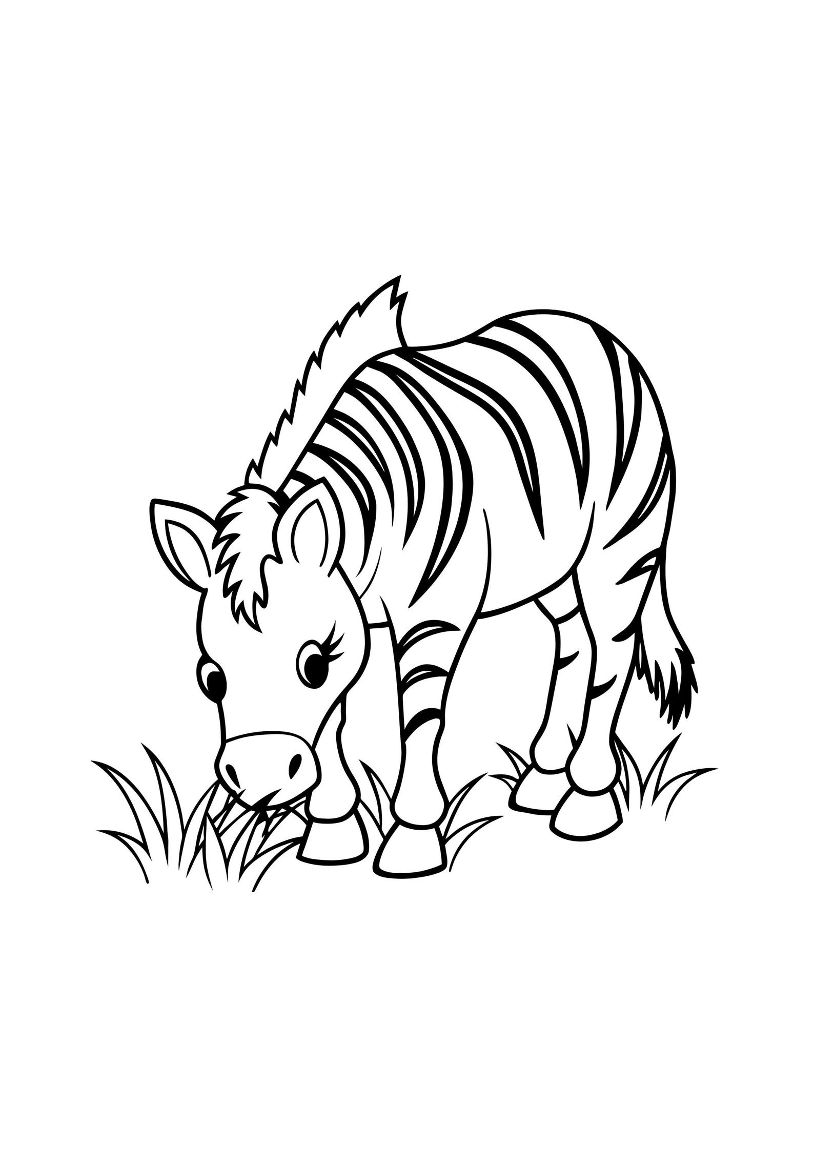 Printable Childrens Animal Coloring Book Pages A4 50 Pages Babysitting ...