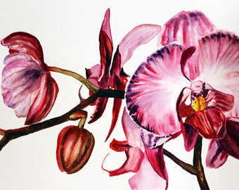 Original Aquarell 11x7,5 inkl. Leuchtend rosa Orchideenblüte. Botanische Malerei Malerei Aquarell Wanddekoration