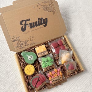 Op de afbeelding: Een kartonnen doos met diverse fruitvormige sojawasmelts. Het deksel bevat de tekst Fruity inspired soy wax melts. Individuele doorzichtige plastic zakjes bevatten wasmelts met de labels Banana smoothie, coconut lime, Sweet English Strawberry, refreshing watermelon en Sweet Tropical Mango.