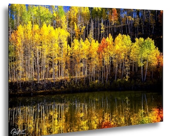 Aspen Trees Reflecting on Pond Print | Silence is Golden Telluride Colorado - Fine Art Photography