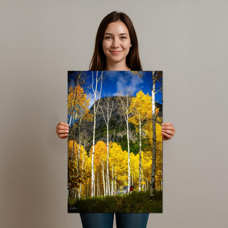 Aspen Trees Fall Colors Wall Art, Crystal Mill Colorado Fine Art ...