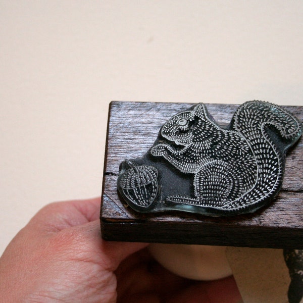 Squirrel with acorn - Rubber Stamp