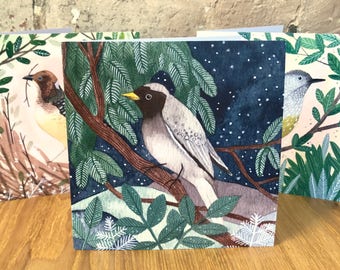 Set of 3 bird cards