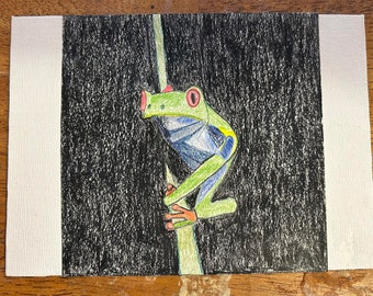 Red Eyed Tree Frog #4