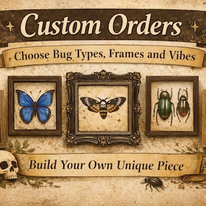 May include: Custom order art featuring framed insect and arachnid specimens. Includes a blue butterfly, a moth, green beetles, a brown beetle, and a spider. The text reads "Custom Orders" and "Build Your Own Unique Piece."