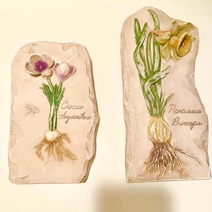 Set of Two Vintage, Resin Hen-Feathers Wall Plaques