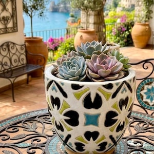 May include: A white ceramic planter with a geometric pattern in black, lime green, and light blue, containing a cluster of various succulent plants with green, blue, and purple leaves. The planter has a rounded shape and a smooth, glossy finish.