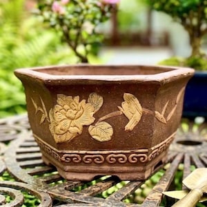 Hexagon Chinese Planter - Etsy