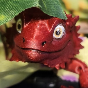 Red Dragon hand painted 3D