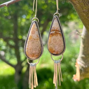 Fossile Korallen Ohrringe Sterling Silber