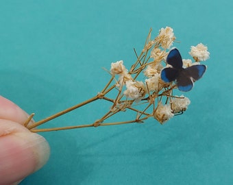 MICRO Miniature BLUE Morpho Butterflies - Set of 12 - Dollhouse, Fairy Garden, Diorama
