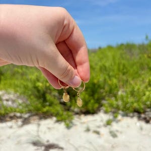 May include: A pair of gold-colored hoop earrings, each featuring a small, textured seashell charm. The earrings are held up against a backdrop of a bright blue sky and green foliage.