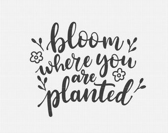 Bloom Where You Are Planted Svg File, Svg Files for Cricut, Hand Lettered Svg, Svg Quotes, Digital Download 40