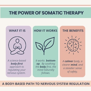 Mock up of nervous system regulation mega bundle: polyvagal theory, body-mind therapy, grounding techniques to end survival mode (therapy workbooks & cards)