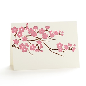 Jeu de 6 cartes typographiques Fleurs de cerisier