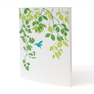 4B-31 Colibrí, juego de 6 tarjetas tipográficas
