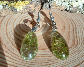 Tiny real moss resin earrings, handmade, Nature