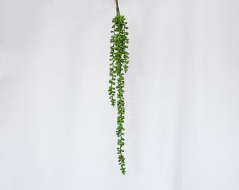 Artificial String of Pearls Hanging Stem, Faux Succulent Trailing Greenery Spray, Wall Vase Greenery, Wedding decor, Indoor Hanging Plant