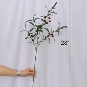 May include: A 28-inch artificial olive branch with green leaves and small, dark brown olives. The stem is a muted green color. The branch is held against a white backdrop.