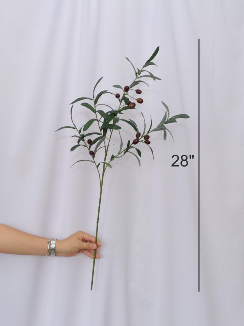 May include: A 28-inch artificial olive branch with green leaves and small, dark brown olives. The stem is a muted green color. The branch is held against a white backdrop.