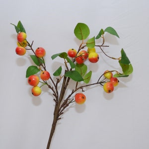 May include: A branch with green leaves and small red and yellow apples. The branch is brown and has a rustic look. The apples are clustered together and look like they are ripe.
