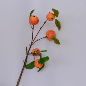 May include: A branch with small, orange-red apples and green leaves. The branch is on a white background.