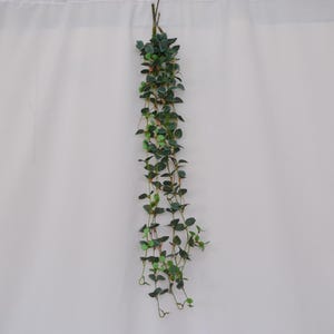 May include: A hanging artificial plant vine featuring multiple thin, flexible stems with small, rounded, dark green leaves. The foliage is densely clustered at the top and cascades downward into several long, slender strands with sparse leaves.