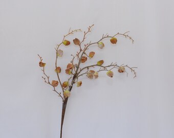 Artificial Cape Gooseberry Stem | Physalis Peruviana, Dried Lantern Branches for Home Decor, Wedding Arrangements, Indoor Floral Centerpiece