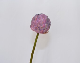 Artificial Purple Artichoke Stem, Realistic Faux Artichoke Decor for Floral Arrangement, Rustic Home Flower Accent, Event Centerpiece, Gift