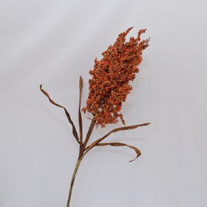 Artificial Dried Sorghum Stem, Natural Millet Branch for Rustic Floral Arrangements, Harvest Decor, Fall Grain Decor, Home Cereals Plant