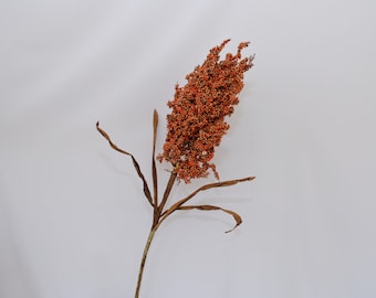 Artificial Dried Sorghum Stem, Natural Millet Branch for Rustic Floral Arrangements, Harvest Decor, Fall Grain Decor, Home Cereals Plant