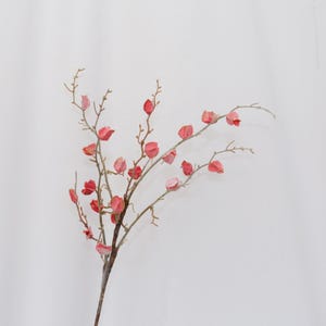 Könnte beinhalten: Ein dekorativer Blumenstiel mit mehreren Zweigen und kleinen, roten Blüten. Die Zweige sind hellbraun und die Blüten leuchtend rot. Der Stiel ist vor einem schlichten weißen Hintergrund platziert, was eine schlichte und elegante Ästhetik schafft.